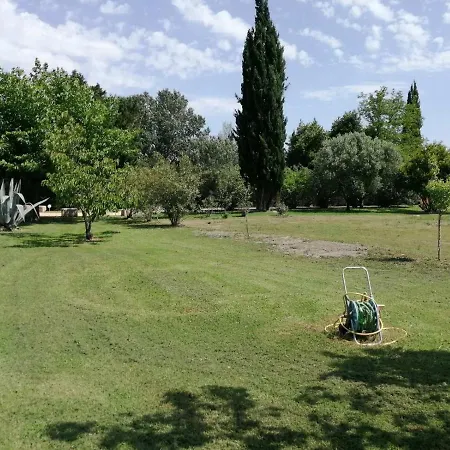 Mas Maurane - L'olivier Avec Prive Aux Portes D'arles Holiday home *