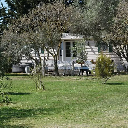 Mas Maurane - L'olivier Avec Prive Aux Portes D'arles Holiday home Tarascon