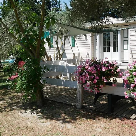 Mas Maurane - L'olivier Avec Prive Aux Portes D'arles Holiday home